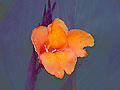 fa9
