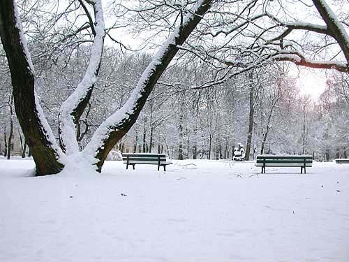 schlossgarten